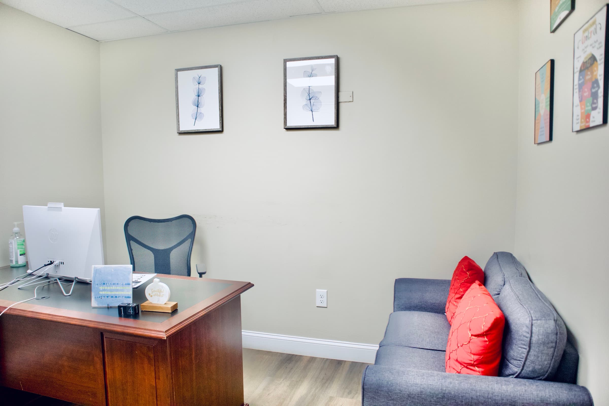 A consulting room at the Temah practice in Cockeysville